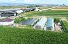 Teren extravilan 14.000 mp, Drâmbar – Ciugud | solarii, fotovoltaice - 1