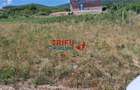 Teren in Podei de vanzare intravilan construibil - 1