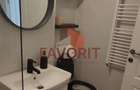 2 camere | recent renovat | mobilat si utilat | zona excelenta | - 13