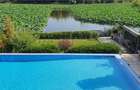Apartament 3 Camere | Vedere Lac | Snagov - 1