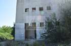 Proprietar vand teren si hale industriale- 51.550 mp • Deta - 3