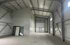 Vanzare depozit/hala/spatiu industrial Domnesti - Centura - 1