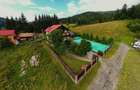Arta si design in incantarea naturii, oportunitate rezidential/ turistic, Predea - 9