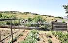 Teren intravilan 1.300 mp.zona Belvedere Targu Mures - 12