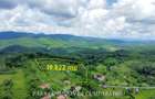 TEREN 19.822 MP CADRU NATURAL MINUNAT
