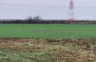 Vand teren agricol extravilan în Giroc - 2