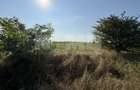 Teren extravilan | Rădăuți | 600 m de centură | 20 m front