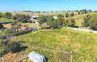 TEREN intravilan 3260 mp  ROZNOV – CHINTINICI - 2