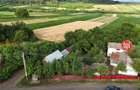 SE VINDE Gospodarie taraneasca, in Sat Valea Glodului, Com.Vulturesti, jud.SV - 7