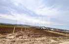 Teren Intravilan I Moara/Suceava  I 4800 mp I80Euro/Mp - 1