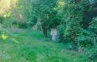Vand teren intravilan cu toate utilitatile in zona Platou-Cornesti S=5124mp. - 7