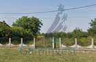 Teren intravilan de vanzare cu livada la 30km de Oradea, Sannicolau Roman, Bihor - 3