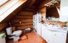 Casa din busteni cu ferma zootehnica si afacere (Tengheler, Com. Ditrau) - 15