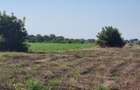 Teren intravilan 2.000 mp, două loturi construibile – Darvari, Ciorogârla - 11