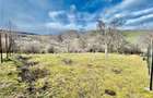 Teren extravilan de 799 mp - zona pitoreasca - Rasinari - 7