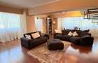 Apartament 4 camere, Strada Domnească - 7