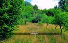 Teren intravilan 6115mp | Danesti, Maramures | Oportunitate investitie - 4