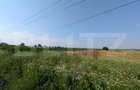 Teren de vanzare, 3.000 mp, utilități și acces asfaltat, zona Comișani - 4