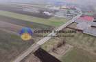Casă + teren 1800 mp – comuna Grumăzești, judet Neamt - 4