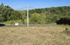 Teren cu PUZ aprobat în Făget, 2072 mp - 2