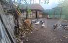 Casa de vanzare, 1360 mp teren, strada asfaltata, circulata, Centrul Vechi - 3