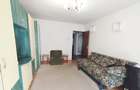 Apartament 2 camere zona Nicolae Titulescu - 5
