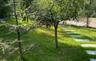 Cabane A frame + Teren 6000 mp |  Proprietate deosebita, NOU - 26
