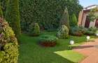 Vila Parc Bazilescu-Oportunitate investitie - 11