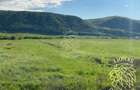 Teren intravilan-Crainimat -3000mp-ideal investitie construire casa - 2