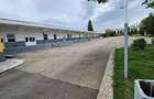 Fabrica de Vanzare In Pascani Turbion Autostrada Moldovei  0727817187 - 6