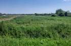 Teren intravilan la intrare în Vetiș – 12.216 mp - 3