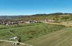 RECO, Teren cu livada de ciresi, Zona Auseu, Bihor - 11