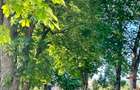 Inchiriere ap 3 camere, parc Poligon, Floresti  - 16