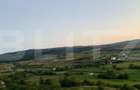 Teren intravilan,18000 mp, situat in  Sopor, Exclusivitate! - 3