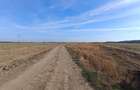 1 Decembrie Ilfov 19.300 mp - 3