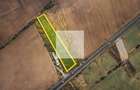 TEREN INTRAVILAN 7.959 MP – DN79 NOJORID, BIHOR - 1