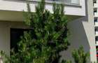 Apartament 2 camere in Greenfield - 11