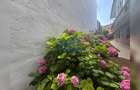 FARA COMISION! Apartament 2 camere renovat premium, CENTRAL, zona SORA - 13
