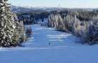 Domeniu schiabil-Partia Mestecanis, 28ha teren, zona Mestecanis - 9
