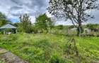 Casă + teren 4430 mp, vie și pomi fructiferi, 22 km de Tecuci - 21