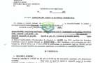 Teren pretabil dezvoltare rezidentiala sau mixta in Otopeni - Zona Libertatii - 2