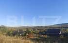 Teren intravilan 500 mp, la asfalt,  in Goruni-Tomesti - 1
