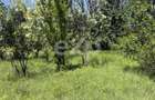 Teren 2.200 mp lângă pădure, la 11 km de Pitești – ideal pentru casă și relaxare - 8