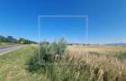 Teren intravilan de 10.000 mp, Calea Surii Mici - 4