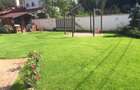 TEISANI - VILA SUPERBA LANGA PADURE, 2007, P+M, TEREN 550 MP! - 1