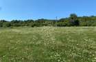 Teren 11.000 mp-ideal cabana/ferma-Unirea-Valea Slatinitei - 1