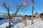 Oportunitate! Teren 10.669 mp în Moieciu de Jos –Natură Pură, Potential Turistic - 14