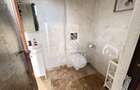 Casa deosebita cu 5 camere de vanzare in Dinias, Timis - 12
