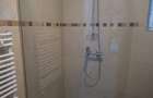 Apartament 1 Camera Moara de Vant - 390 euro - 10