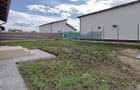 Vila Construtie Noua- Sampetru - 23